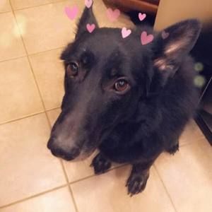 Meet your Posher, Mckenzie